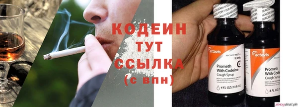 дживик Вязьма