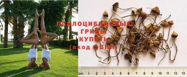 стафф Вяземский