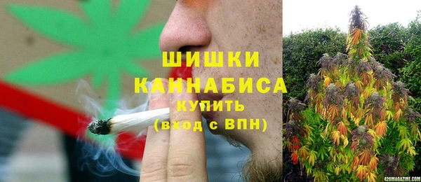 стафф Вяземский