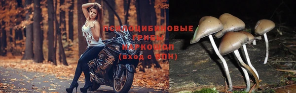 стафф Вяземский
