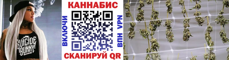 где можно купить наркотик  Кандалакша  Бошки Шишки Amnesia 