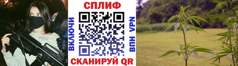 МАРИХУАНА индика Кандалакша